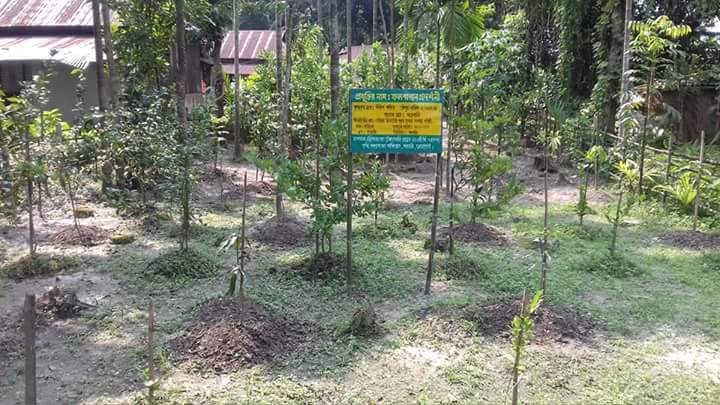 ফলবাগান প্রদর্শনী