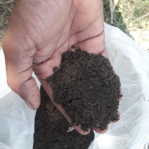 কিচেন কম্পোস্ট